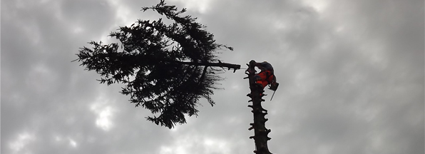 Vinaora Nivo Slider 3.x